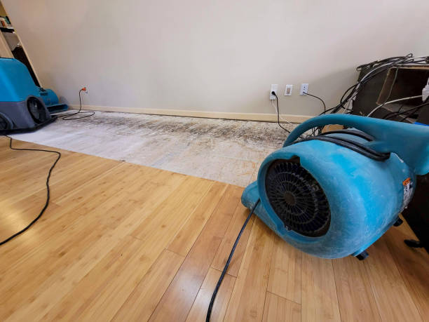 Professional Flood Damage Cleanup technician working in Rio Rico, AZ